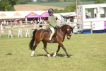 SBM_09252