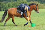 PPACP_0484