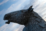 The Kelpies, Falkirk, Scotland - 1295