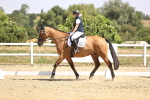 SBM_003985