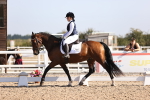SBM_01775