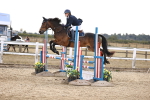 SBM_008635