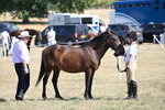 WJ6_9255
