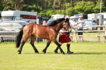 SBM_01602