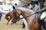 SBM_09457
