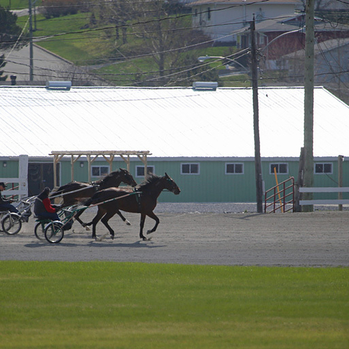 Exhibition Park Raceway Saint John New Brunswick Canada