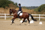 SBM_013768