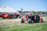 Guernsey Agricultural Show 2021-213