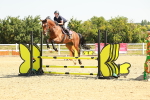 SBM_000431