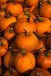 Pumpkins