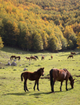 Monte Pollino walk