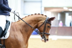 SBM_002636