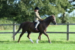 SBM_54006