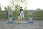 Show Jumping portfolio