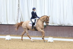 SBM_001675
