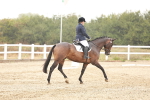 SBM_001373
