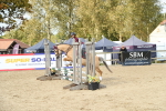 SBM_46624