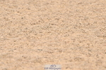 240509A-093119-00580