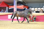SBM_02965