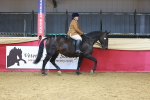 SBM_09419