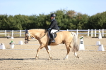 SBM_012499