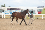 SBM_07891