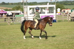 SBM_10205