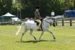 SBM_06785