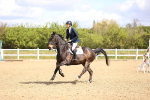 SBM_003621