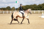 SBM_009900