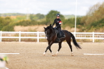 SBM_009647