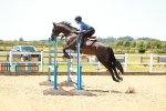 SBM_006016