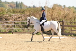 SBM_010507