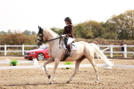 SBM_017021