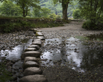 Low Water - Stepping Stones - River Derwent