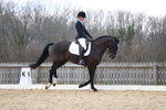 Class 8: Medium 1 2024 portfolio