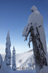 Winter - 31