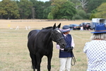 WJ6_6331