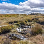 Kinder Res