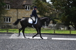WJ5_9932