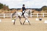 SBM_004834