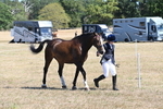 WJ6_8628