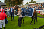 230824-Race 4-Bradsell-9127