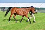 SBM_00007