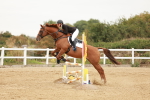SBM_008738