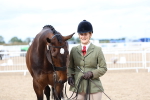 Class 28 - IH Veteran Horse portfolio