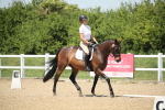 SBM_009533