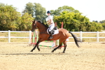 SBM_002644
