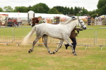 SBM_04181