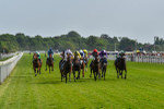 270523-Race 6-Quantum Impact-4536